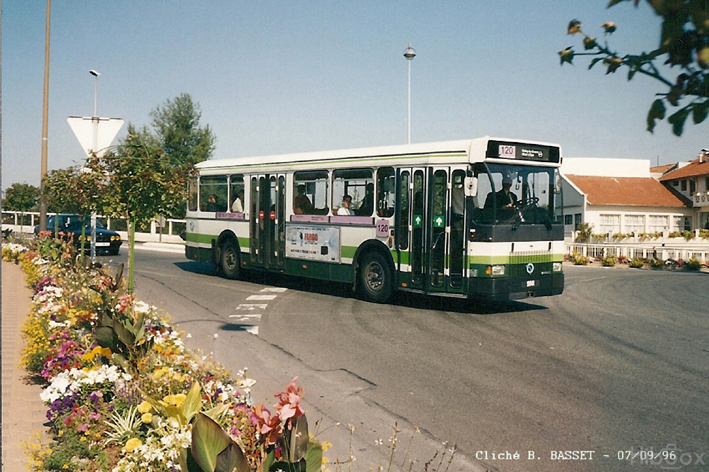 120_9.jpg - ©  B. BASSET - Merci à B.BASSET