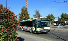 139_IMG_9515