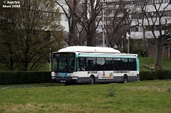 181_IMG_7704