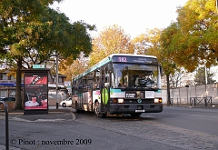 Image182_pinot_nov_09