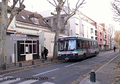 Image_182_pinot_nov_09_3