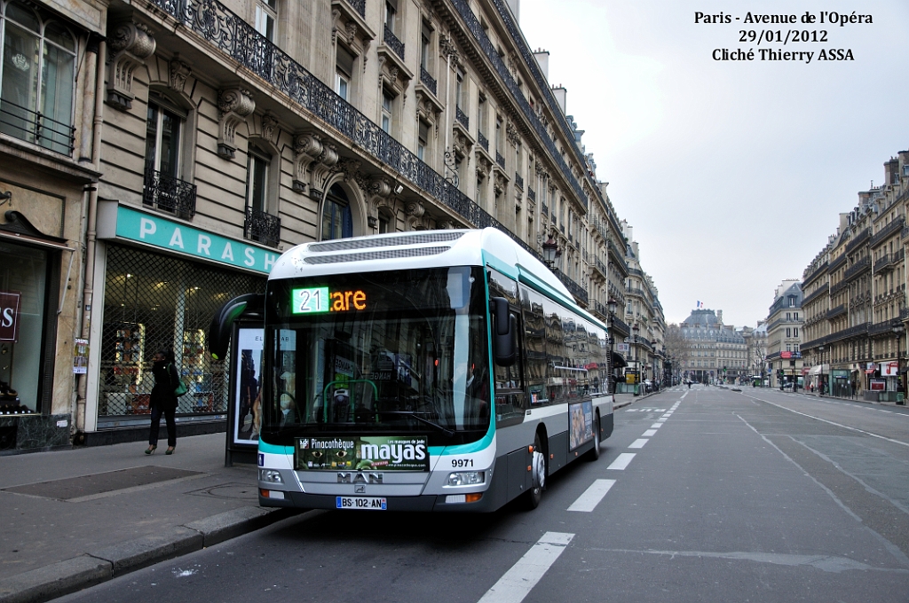 21_204295_t_assa.jpg - ©  T. ASSA- Merci à Thierry ASSA