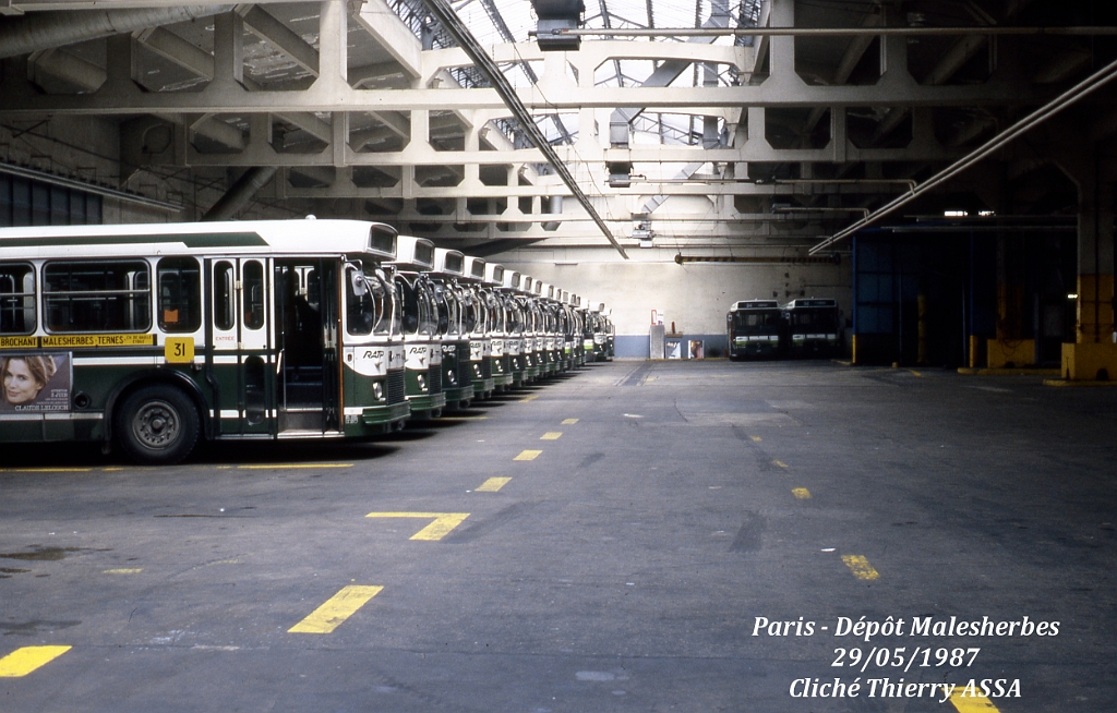 31_1987_03585_t_assa.jpg - © T. ASSA- Merci à Thierry ASSA