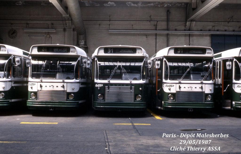 31_1987_03586_t_assa.jpg - © T. ASSA- Merci à Thierry ASSA