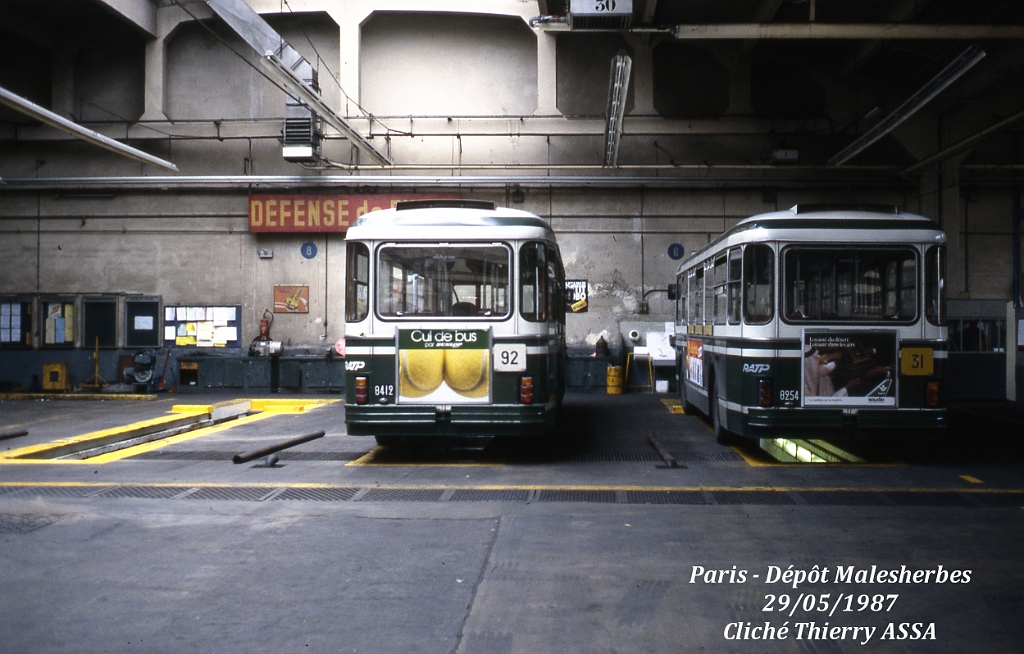 31_1987_03593_t_assa.jpg - © T. ASSA- Merci à Thierry ASSA