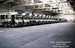 31_1987_03584_t_assa