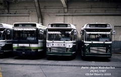 31_1987_03590_t_assa