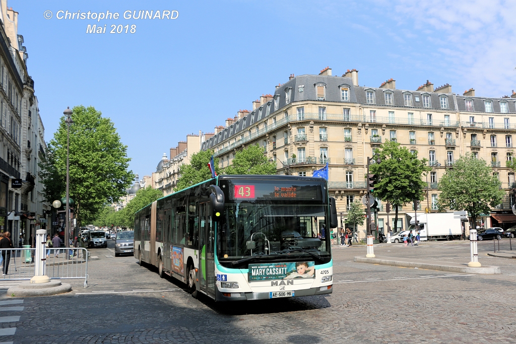 43_IMG_9145.jpg
