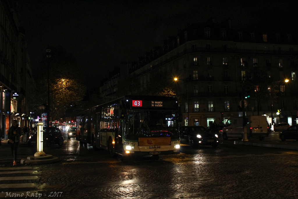 IMG_2313.jpg