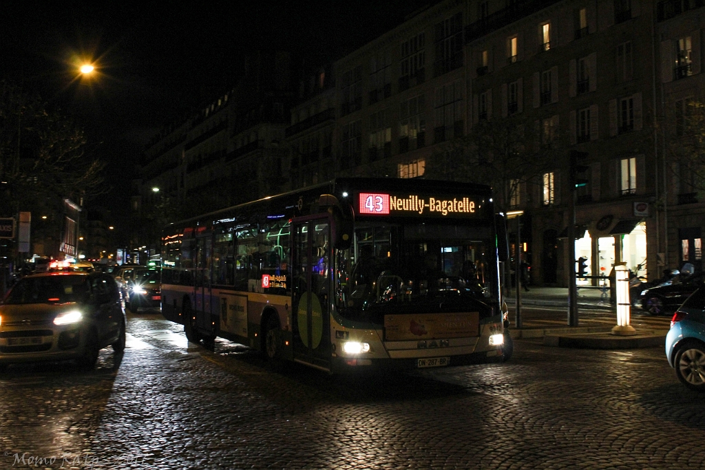 IMG_2317.jpg
