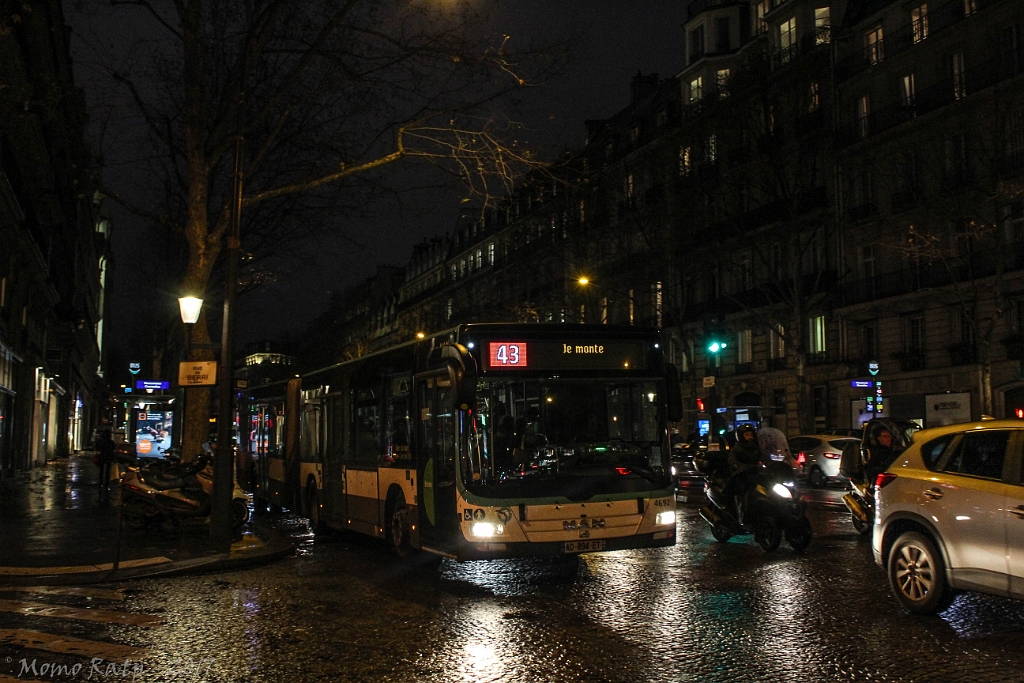 IMG_2980.jpg