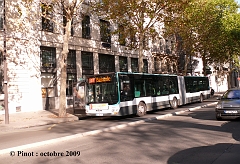 43_P1110908c