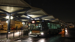 IMG_4103