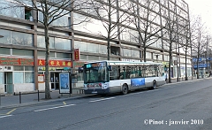 Image54_pinot_janvier