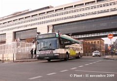 Image_65_pinot_nov_09