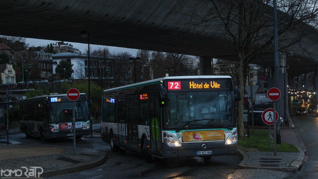 IMG_3996.jpg