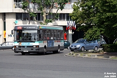 72_IMG_9288