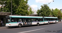 Image84_pinot_nov_09_1