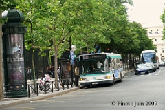 Image84_pinot_nov_09_3