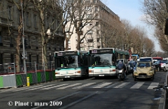 Image_84_pinot_nov_09_2