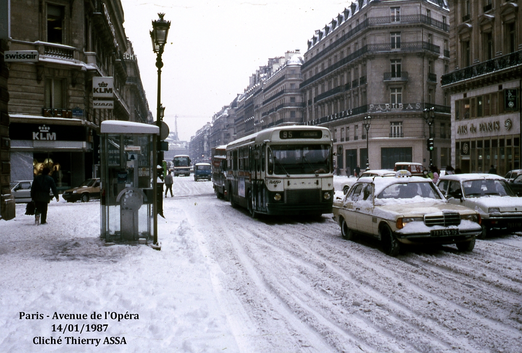 95_03509.jpg - ©  T. ASSA- Merci à Thierry ASSA